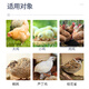 Zhengda 521 Chicken Feed, Chicks Open Chicks, Chicken Feed Wholesale, Medium Chicken Food Premix 80Jin Jin is equal to 0.5kg Zhengda 521 Chicken Feed 10Jin Jin is equal to 0.5kg