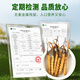 Wancao Kangren [Straight from Origin] Fresh Cordyceps sinensis Tibetan area Fresh Cordyceps high-end tonics to give gifts to elders First-rate fresh grass [0.6g/root] 20 roots