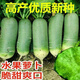 Rock sugar fruit radish seeds are crispy and sweet when eaten raw. Heat-resistant green radish is sown in all seasons. Green radish farm vegetable seeds. Green skin and green heart fruit radish seeds. G#986 selected new species. About 300 capsules.