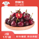 Jingxiansheng Domestic Cherry Cherries J Grade 1Jin Jin is equal to 0.5kg, single fruit 8g, fresh fruit, sweet and sour taste