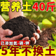 Universal nutritional soil for growing vegetables, nutritional soil for flowers, potted green plants and vegetables, universal flower soil, flower mud, organic soil wholesale, good soil, real fertilizer, mixed with rooting powder carbendazim 3Jin Jin is equal to 0.5 kg, universal nutritional soil, universal for melons, fruits, flowers and green plants