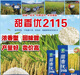 New species of Tianxiangyou 2115 Zhuangxiangyou 1205 hybrid high-yielding rice seeds, strong-flavor first-grade rice, long-grain fragrant rice, single-agent package, insecticide + bactericide + bird repellent *1 set
