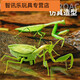 
Shantoulin Village remote control mantis electric toy prank artifact cockroach boy moves spider crawling animals Remote control mantis [classic version - remote control ladybug] red model 9922
