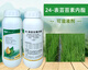 Yongguan 0.01% brassinolide lactone plant growth regulator 24 epibrassinolide 1000ml