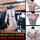 Bai Ping Double Inversion Machine Home Fitness Equipment for Men Abdominal Muscle Exercise Inverted Hanging Back Stretch Inversion Artifact Sit-Ups New Inversion Machine