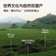 Xiaowens Tee Oolong Tee Mellow Wuyi Rock Tee Dahongpao Level 149.4g mittelfeuer Geschenkbox Geeignete Tee Blätter