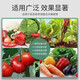 Russian imported compound fertilizer vegetable agricultural vegetable organic nitrogen phosphorus potassium flower fertilizer flower plant 100Jin Jin is equal to 0.5kg, often chosen by landowners