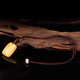 DL 1998 Fett Donglai Quality Beeswax Sorgenmarke Tianguangxu Tianlan Amber Beeswax Sorge Marke Anhänger Männer und Frauen F3590