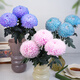 Graceful and luxurious, 3 branches of color-absorbing peonies and chrysanthemums
