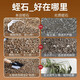 Cute fleshy vermiculite special soil for rose cuttings and flower cultivation, perlite particles, turtle egg hatching, hair root breeding, vermiculite 1-3 mm 5L