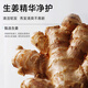 Flexible [mismo modelo para el ventilador Chengcheng] El champú de jengibre de polipéptido previene el control de aceite de cabello para reparar el champú del cuero cabelludo