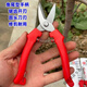 Vinoa thickened stainless steel gardening scissors, specially used for picking navel oranges, apples and tomatoes, stainless steel fruit picking pruning shears, thickened version 1 pair