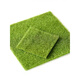 Grass floor mat mini carpet lawn green space simulation green plant micro landscape bonsai desktop interior decoration turf lawn 30*30 cm 1 piece