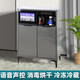 Lomat's new home intelligent voice control solid wood tea bar machine integrated living room water dispenser tea and wine cabinet refrigerator refrigeration and sterilization cabinet sideboard 616 ribbon storage cabinet hot and cold type warm