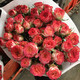 YWZR multi-headed rose flowers Yunnan base sends fresh flowers for home express office Valentine's Day bouquet Bubble rose random color 30-40 flowers + free preservative