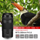 Canon RF full-frame zoom mirrorless lens, suitable for R7 R8 R10 R5 R62 professional mirrorless camera, professional mirrorless lens RF75-300mm F4-5.6 telephoto zoom, new product, basic package, UV lens + CPL polarizer + various basic accessories