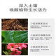 Yuntianhua Phosphate Fertilizer Flower Superphosphate Flower Fertilizer Vegetable Fertilizer Root-Strengthening Fertilizer Soil Fertilizer Chemical Fertilizer Vegetable Agricultural Fertilizer Phosphate Fertilizer Granules 30 Jin Jin is equal to 0.5 kg divided into 6 packages