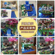 Yanxi Fairy Pavilion Ancient Style Building Blocks 2025 New Taohuatan High Difficult Building Assembly Toys Girls Gift Huge Fairyland Taohuatan [Standard Edition] 3899