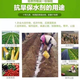 Agriculture and forestry water-retaining agent drought-resistant agricultural water-locking and moisturizing ultra-high water-absorbent soil improvement manufacturer wholesale drought-resistant water-retaining agent 25 kg powder 800 times