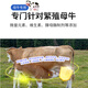 Hefeng Breeding Cow Premix 2.5% Super Mix to Promote Production and Survival Cow Breeding Premix Additive Feed 2 Bags (40Jin Jin is equal to 0.5kg *2) Mixing 3200Jin Jin is equal to 0.5kg Free 3 bags of yeast multi-dimensional