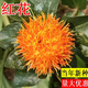 Xiaochunfeng Chinese herbal medicine safflower seeds saffron seeds Xinjiang grass saffron seeds genuine pure new field planting seeds safflower seeds one Jin Jin is equal to 0.5 kg