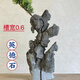 The raw stone is slotted and attached to the stone bonsai, which can be attached with elm, golden bean, fish tank, rockery, garden landscaping stone 13-17cm (slotted model will be shipped randomly)