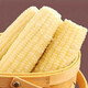 2025 Northeastern White Waxy Corn Vacuum Packed New Arrival Freshly Picked Farm-Grown Fresh Sweet Waxy Corn on the Cob Coarse Grain White Sweet Waxy Corn 2 Sticks 150-200g