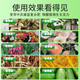 Special compound fertilizer for vegetables. Comprehensive nutrients for growing vegetables. Leaves are bright green, strong roots, strong seedlings, cucumbers and peppers. Special fertilizer for vegetables. 3Jin Jin is equal to 0.5kg.