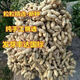 New goods have arrived, original dwarf oil-pressing peanut seeds, spring sown peanut seeds, thin-shell peanuts, dwarf flowers, first-generation peanut original seeds, half Jin Jin equal to 0.5 kg 250g