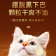 OIMG Zhen Xiaozhu Cat Food Fresh Meat Nutritional Natural Chicken Beef Formula General Complete Price Food for Adult Cats and Young Cats Chicken Formula 5Jin Jin equals 0.5kg