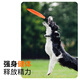 Zhenyou Pet Dog Toy Dog Training Frisbee Border Shepherd Golden Retriever Interactive Boredom Relief Outdoor Training Pet Supplies 18cm