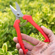 Vinoa thickened stainless steel gardening scissors, specially used for picking navel oranges, apples and tomatoes, stainless steel fruit picking pruning shears, thickened version 1 pair
