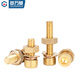Guwanji National Standard Brass Hexagon Screws Copper Nuts Bolts Nuts Flat Washer Spring Washer Combination Set M8x35 2 Sets