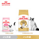 Royal Cat Food Ragdoll Adult Cat Food RA32 General Food 12 Months and Over 10KG