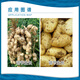 Leco Shuofang 60% Choline Chloride Peanut Potato Potato Growth Regulator Soluble 100g
