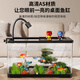 Turtle tank household landscaping filter circulation sun terrace climbing platform acrylic ecological mixed fish tank small turnover box three-in-one filter