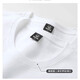 Playboy short-sleeved T-shirt men's pure cotton T-shirt summer new versatile slim fit half-sleeved men's white T fishhook white + small label white XL recommended 120-135Jin Jin equals 0.5 kg
