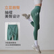 Gigt Jiji Yoga Pants Women's Summer Cool Breathable High Waist Raise Tummy Shark Pants Pilates Fitness Pants Yoga Wear Forest Green L Recommended 125-135 Jin Jin equals 0.5 kg