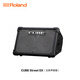 Roland CUBE-Street EX speaker outdoor road show portable playing and singing electric blowpipe electric guitar outdoor playing and singing audio CUBE-STEX black standard + portable trolley audio bag