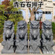 A pair of stone carving lions for home front gates, company gatekeepers, stone bluestone granite lion ornaments, a pair of twisted face height 15 meters long 75 wide 55 cm