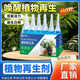 Plant Regeneration Agent Resurrection Liquid Flowers and Green Plants Potted Plants Universal Light Rod Yellowing Money Tree Succulent Growth Nutrient Solution Buy One Get One Free Limited Time Event 2 boxes of 12 pieces in total