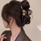 Hairpin headwear for women 2025 new high-end hairpin grabber shark clip on the back of the head high-end ponytail hair accessories high-end light luxury exquisite hairpin artifact grabber hairpin