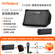 Roland CUBE-Street EX speaker outdoor roadshow portable playing and singing electric blowpipe electric guitar outdoor playing and singing audio EX black + original battery + trolley bag + microphone + microphone stand