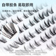 Beauty Fox Glue-free False Eyelashes Nine-tailed Rabbit Black 100 Clusters Double-tailed Fox Eye Tail Slanting Self-Adhesive Eyelashes MF8060