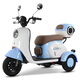 Feige electric tricycle for elderly people walking and leisure household small battery car for women new national standard electric tricycle V1 800W72V24A black gold 6 batteries about 130 miles