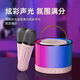 Bluetooth Audio Home Microphone Karaoke Colorful Lights Mini Portable High-Quality Audio Gift Microphone Player Beige Double Wheat
