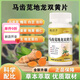 Changjiping Dandelion Angelica Double Purslane Dilong Protein Double Turmeric Dandelion Peach Kernel Double Yellow Angelica 3 bottles cycle recommended by the anchor