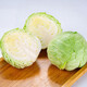 Shuang Da Cai plateau breaded cabbage about 500g