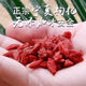 Pupan selected the first fresh dried goods of Ningxia wolfberry, sulfur-free authentic Ningxia wolfberry, dried fruit in water, no added weight, Ningxia wolfberry 20g Ningxia wolfberry