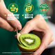 Zespri green kiwi fruit, 12 selected large fruits, about 113-135g per fruit, kiwi fruit